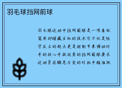 羽毛球挡网前球
