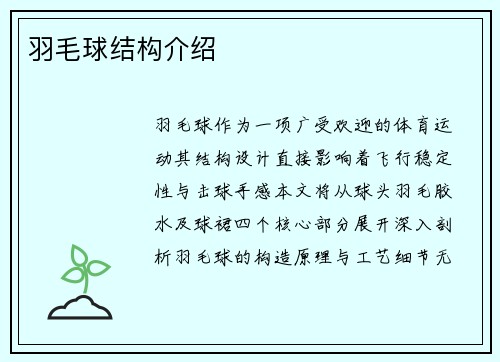 羽毛球结构介绍