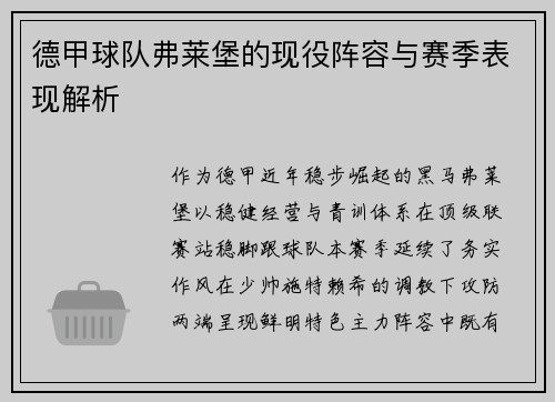 德甲球队弗莱堡的现役阵容与赛季表现解析